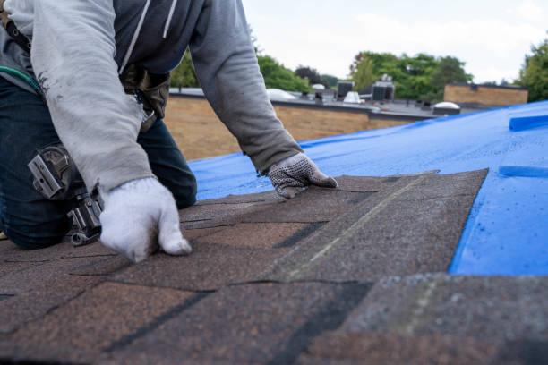 Best Storm Damage Roof Repair  in Falling Waters, WV