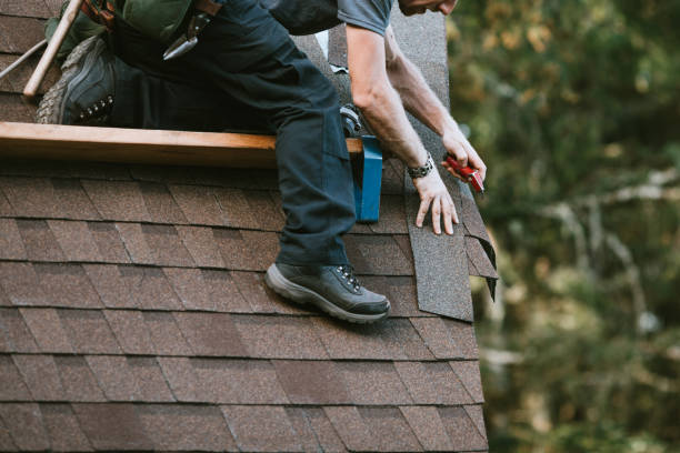 Roof Gutter Cleaning in Falling Waters, WV